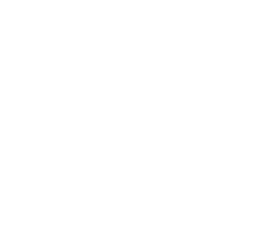 Boston Chimney Sweep